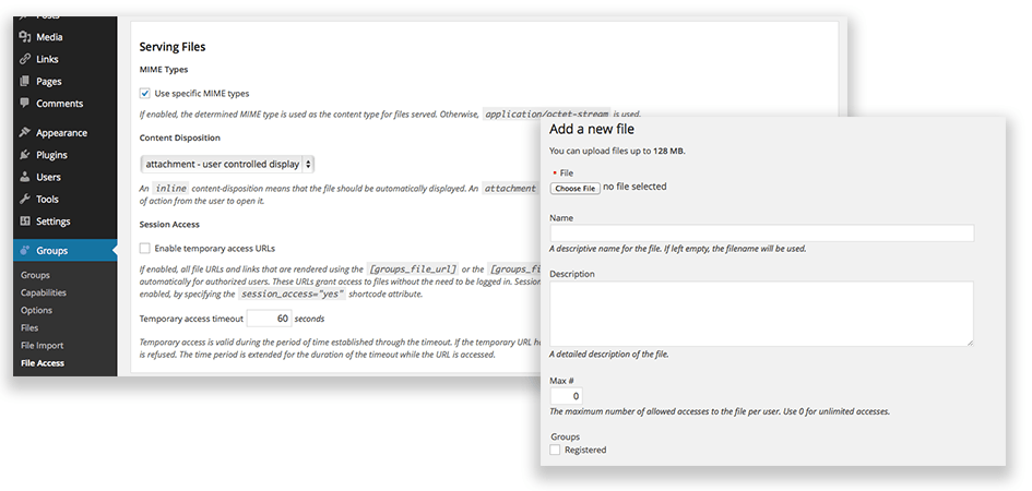 Groups File Access WordPress Plugin