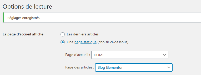 option wordpress blog